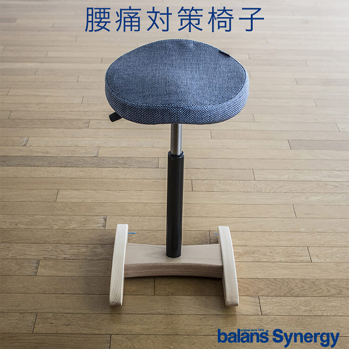 直売卸し売り balance Synergy バランスシナジー 腰痛対策椅子